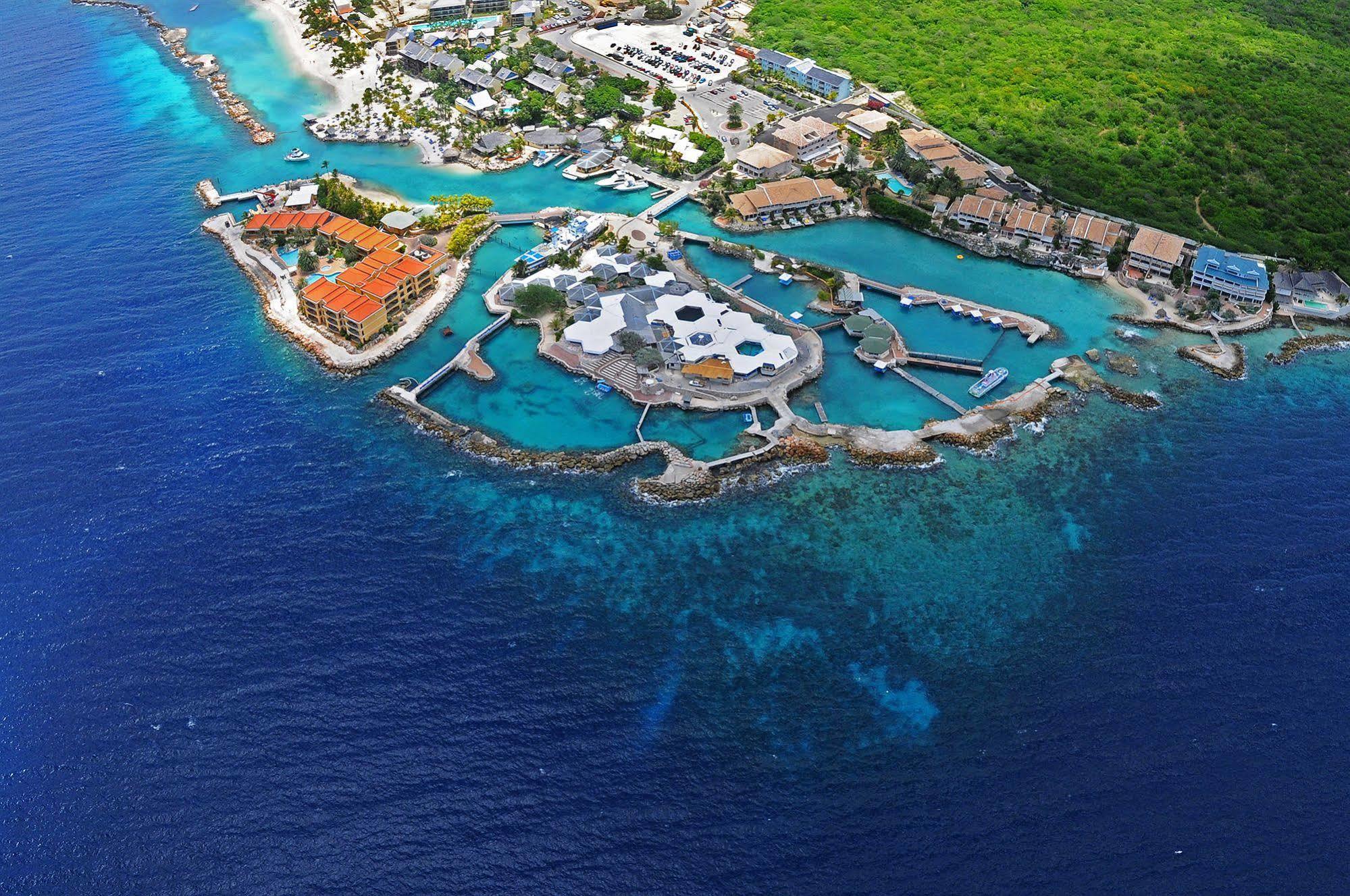 Dolphin Suites & Wellness Curacao Βίλλεμσταντ Εξωτερικό φωτογραφία